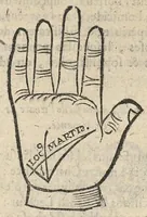 An illustration from La Chiromance et phisiognomie par le regard des membres de l'homme..., le tout mis en françois par Antoine du Moulin masconnois (1638)
