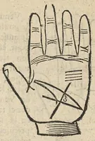 An illustration from La Chiromance et phisiognomie par le regard des membres de l'homme..., le tout mis en françois par Antoine du Moulin masconnois (1638)