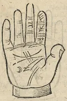 An illustration from La Chiromance et phisiognomie par le regard des membres de l'homme..., le tout mis en françois par Antoine du Moulin masconnois (1638)
