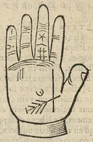 An illustration from La Chiromance et phisiognomie par le regard des membres de l'homme..., le tout mis en françois par Antoine du Moulin masconnois (1638)