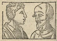 An illustration from La Chiromance et phisiognomie par le regard des membres de l'homme..., le tout mis en françois par Antoine du Moulin masconnois (1638)