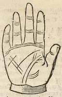 An illustration from La Chiromance et phisiognomie par le regard des membres de l'homme..., le tout mis en françois par Antoine du Moulin masconnois (1638)
