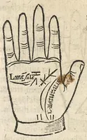 An illustration from La Chiromance et phisiognomie par le regard des membres de l'homme..., le tout mis en françois par Antoine du Moulin masconnois (1638)