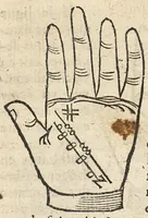 Picture 7 of 63 from La Chiromance et phisiognomie par le regard des membres de l'homme..., le tout mis en françois par Antoine du Moulin masconnois (1638), leaf 41
