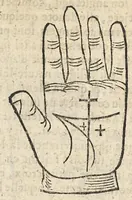 An illustration from La Chiromance et phisiognomie par le regard des membres de l'homme..., le tout mis en françois par Antoine du Moulin masconnois (1638)