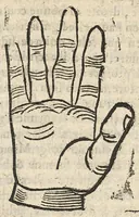 An illustration from La Chiromance et phisiognomie par le regard des membres de l'homme..., le tout mis en françois par Antoine du Moulin masconnois (1638)