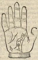 An illustration from La Chiromance et phisiognomie par le regard des membres de l'homme..., le tout mis en françois par Antoine du Moulin masconnois (1638)