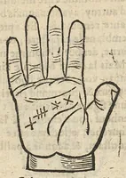 An illustration from La Chiromance et phisiognomie par le regard des membres de l'homme..., le tout mis en françois par Antoine du Moulin masconnois (1638)