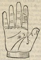 Picture 21 of 63 from La Chiromance et phisiognomie par le regard des membres de l'homme..., le tout mis en françois par Antoine du Moulin masconnois (1638), leaf 95