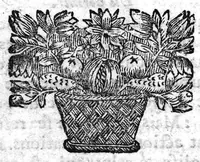 An illustration from Les Jugements astronomiques des songes, par Artemidorus, autheur ancien et renommé. Augmenté par Auguste Niphe sur les Augures. Et un traité fait sur les divinations par Antoine du Moulin (1664)