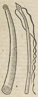 An illustration from Oeuvres chirurgicales...divisées en deux parties...derniere edition soigneusement reveue & enrichie de diverses figures inventées par l'autheur (1658)