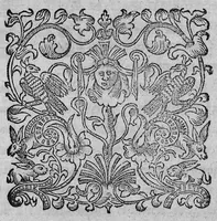 An illustration from Insignes curationes variorum morborum, quos medicamentis chymicis iucundissima methodo curavit... (1627)