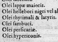 An illustration from Insignes curationes variorum morborum, quos medicamentis chymicis iucundissima methodo curavit... (1627)