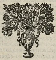 An illustration from Divers traictez, à sçavoir de la nature des bains de Bourbon...de la Macreuse. de la poudre de sympathie/ Response à Monsieur Papin... (1651)