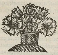 An illustration from Divers traictez, à sçavoir de la nature des bains de Bourbon...de la Macreuse. de la poudre de sympathie/ Response à Monsieur Papin... (1651)