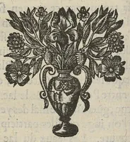 An illustration from Divers traictez, à sçavoir de la nature des bains de Bourbon...de la Macreuse. de la poudre de sympathie/ Response à Monsieur Papin... (1651)
