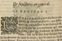 An illustration from Le miroir de la beauté et santé corporelle. tome second...reveu & corrigé d'une infinité de fautes passées és precedentes impressions (1643)