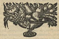 An illustration from Traité des maladies des femmes par M. Jean Varandée...reue, augmenté d'annotations, & traduit en françois par I. B.... (1666)