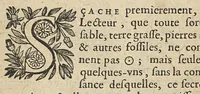 An illustration from L'oeuvre minerale ou est enseignée la séparation de l'or des pierres à feu, sable, argile, & autres fossiles...mise en françois par le sieur Du Teil (1659)