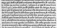 An illustration from Pharmacopée divisee en deux livres avec une ample paraphrase...dernière edition (1640)