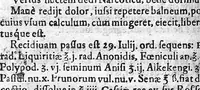 Picture 2 of 3 from Felicis Plateri,... Observationum, in hominis affectibus plerisque, corpori et animo, functionum laesione, dolore, aliave molestia et vitio incommodantibus, libri tres, ad Praxeos illius tractatus tres... accommodati... (1614), leaf 480