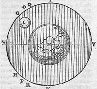 An illustration from Essais de physique ou recueil de plusieurs traitez touchant les choses naturelles / Vol. I (1680)