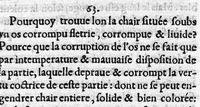 Picture 4 of 7 from Les problemes d'Alexandre Aphrodisé, excellent et ancien philosophe, pleins de matieres de medecine et de philosophie, traduits de grec en françois,... (1555), leaf 178