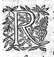 An illustration from Medicina practica - liber tertius (1633)