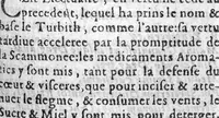 An illustration from Paraphrase sur la pharmacopee. Divisee en deux livres, par M. Brice Bauderon, Docteur en Medecine, de Parey en Charoloys, à present demeurant à Mascon. L’argument mis apres l’Epistre declare tout le contenu. Avec une Table des matieres y traictees. Edition seconde, Reveuë, corrigee et augmentee par l’autheur mesme (1596)