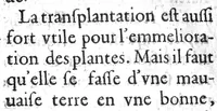 Picture 18 of 30 from Histoire naturelle... (1631), leaf 261