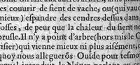 An illustration from Le Jardinage d’Antoine Mizauld medecin. Contenant la maniere d’embellir les jardins, les preserver de toute vermine, et en tirer remedes propres aux maladies des hommes. Item, comme il faut enter les Arbres, et les rendre medicinaux. Mis en François pour faire que le profit qu’on en peut tirere soit commun à chacun (1578)