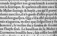 An illustration from Le Jardin medicinal enrichi de plusieurs et divers remedes et secrets. Compose par Anthoine Mizald, de Molusson en Bourbonnois, Docteur en medecine. Mis nouvellement en François, (1578)