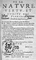 An illustration from De la Nature, vertu et utilité des plantes, divisé en 5 livres... par Guy de la Brosse,... (1628)