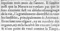An illustration from De la Nature, vertu et utilité des plantes, divisé en 5 livres... par Guy de la Brosse,... (1628)