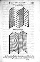 Picture 7 of 11 from Essay des merveilles de nature, et des plus nobles artifices,...huitiesme edition, revueue, corrigée, & augmentée par l'autheur (1631), leaf 454