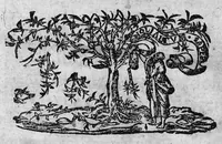 An illustration from Du droit de nature (1601)