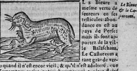 Picture 5 of 12 from Les livres de Hierosme Cardanus médecin Milannois, intitulez de la Subtilité, & subtiles inventions, ensemble les causes occultes et les raisons d'icelles (1642), leaf 626