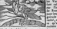 An illustration from Les livres de Hierosme Cardanus médecin Milannois, intitulez de la Subtilité, & subtiles inventions, ensemble les causes occultes et les raisons d'icelles (1642)