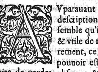 An illustration from Discours sur l'origine des fontaines de Pougues...avec une briefve instruction pour suer de ladicte eau. edition nouvelle... (1628)