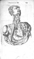 An illustration from Anatomia, ex Caspari Bartholini... (1666)