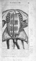 Picture 3 of 14 from Anatomia, ex Caspari Bartholini... (1666), leaf 49