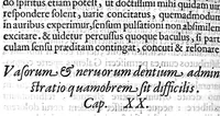 An illustration from Libellus de dentibus (1563)