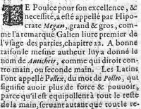 An illustration from Histoire de tous les muscles du corps humain ou leurs nom, nombre scituation, origine, insertion & action, sont demontrez (1612)