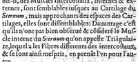 An illustration from Histoire de tous les muscles du corps humain ou leurs nom, nombre scituation, origine, insertion & action, sont demontrez (1612)