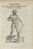 Picture 2 of 18 from L'Oeconomie chirurgicale, pour le restablissement des parties molles du corps humain. Contenant les principes de chirurgie, & un Traitté methodique de la garison de la peste, & de tous ses accidents, par le moyen d'un remede experimenté. Et nouvellement mis en lumiere... (1671), leaf 224