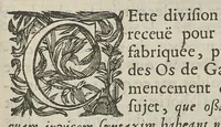 Picture 8 of 18 from L'Oeconomie chirurgicale, pour le restablissement des parties molles du corps humain. Contenant les principes de chirurgie, & un Traitté methodique de la garison de la peste, & de tous ses accidents, par le moyen d'un remede experimenté. Et nouvellement mis en lumiere... (1671), leaf 378