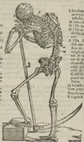 An illustration from L'Oeconomie chirurgicale, pour le restablissement des parties molles du corps humain. Contenant les principes de chirurgie, & un Traitté methodique de la garison de la peste, & de tous ses accidents, par le moyen d'un remede experimenté. Et nouvellement mis en lumiere... (1671)