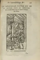 Picture 15 of 18 from L'Oeconomie chirurgicale, pour le restablissement des parties molles du corps humain. Contenant les principes de chirurgie, & un Traitté methodique de la garison de la peste, & de tous ses accidents, par le moyen d'un remede experimenté. Et nouvellement mis en lumiere... (1671), leaf 692