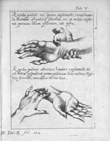 An illustration from Clavis medica ad Chinarum doctrinam de pulsibus (1686)