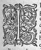 An illustration from Les Oeuvres anatomiques de M. Jean Riolan,... reveues et augmentées d'une cinquième partie en ceste édition... Le tout rangé, divisé, noté et mis en françois par M. Pierre Constant,... (1628)